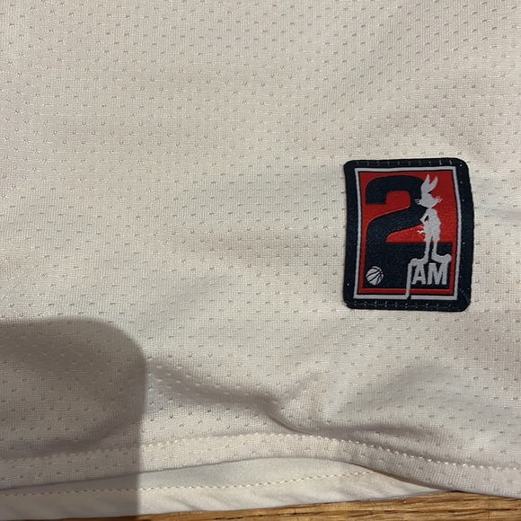 Space jam X SikSilk Mesh Short - Picture 7 of 15